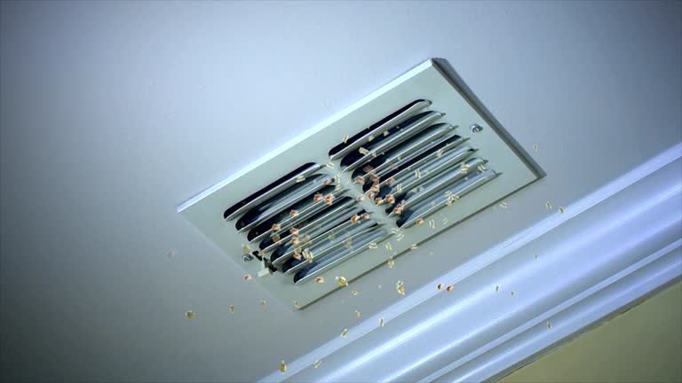 Best Ventilation Cleaning Services  in Rosend, LA