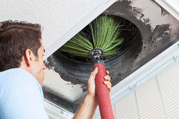 Best Air Duct Cleaning Near Me  in Rosend, LA